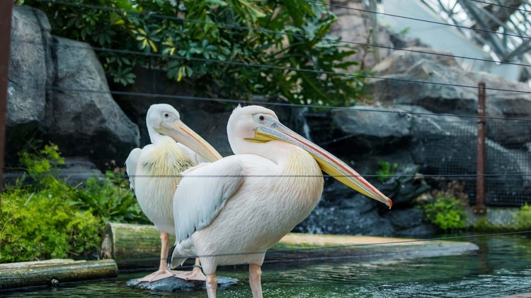 20220326-img_9134_sqsh60_sqsh60