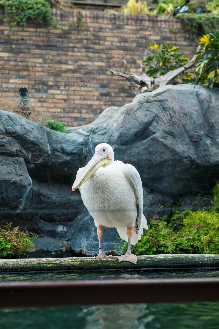 20220326-img_9135_sqsh60_sqsh60