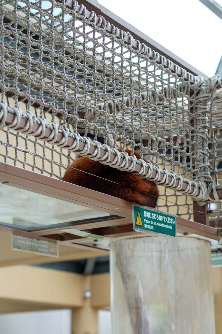 20220326-img_9136_sqsh60_sqsh60