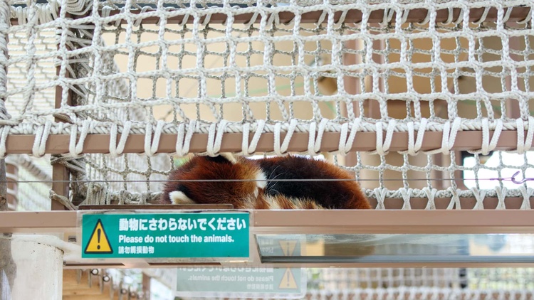 20220326-img_9138_sqsh60_sqsh60