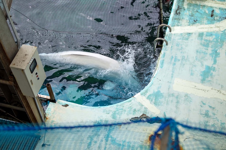 20220326-img_9140_sqsh60_sqsh60