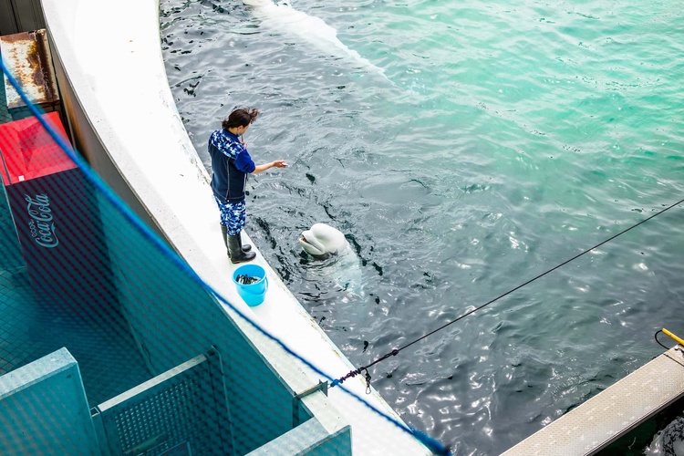 20220326-img_9141_sqsh60_sqsh60