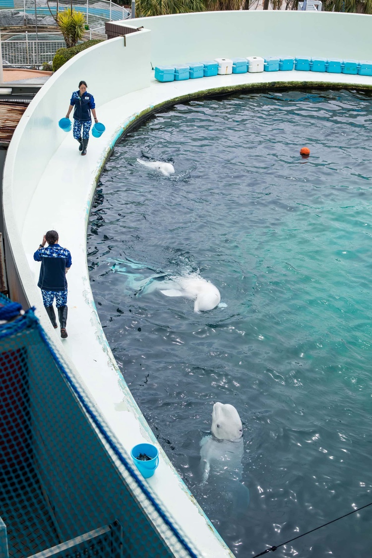 20220326-img_9143_sqsh60_sqsh60