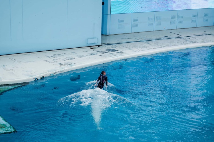 20220326-img_9151_sqsh60_sqsh60