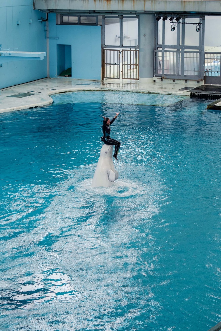 20220326-img_9152_sqsh60_sqsh60