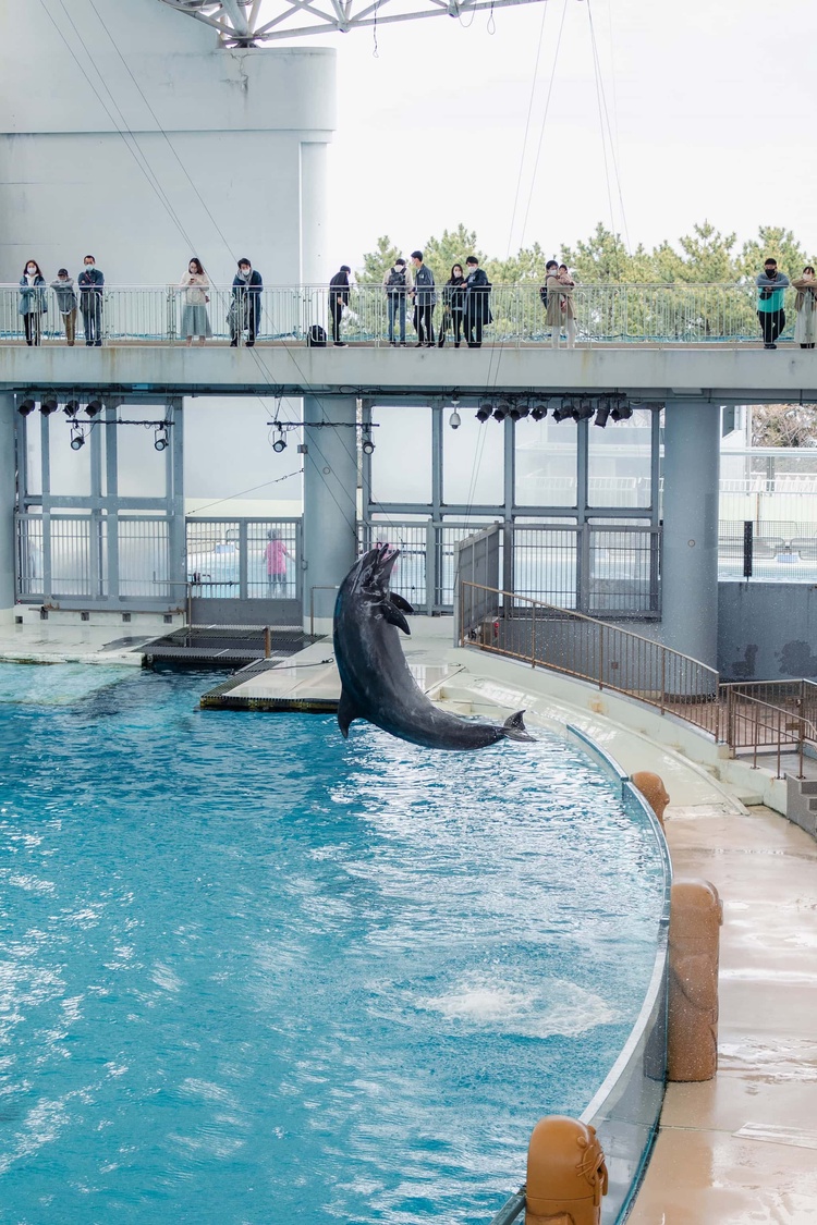 20220326-img_9157_sqsh60_sqsh60