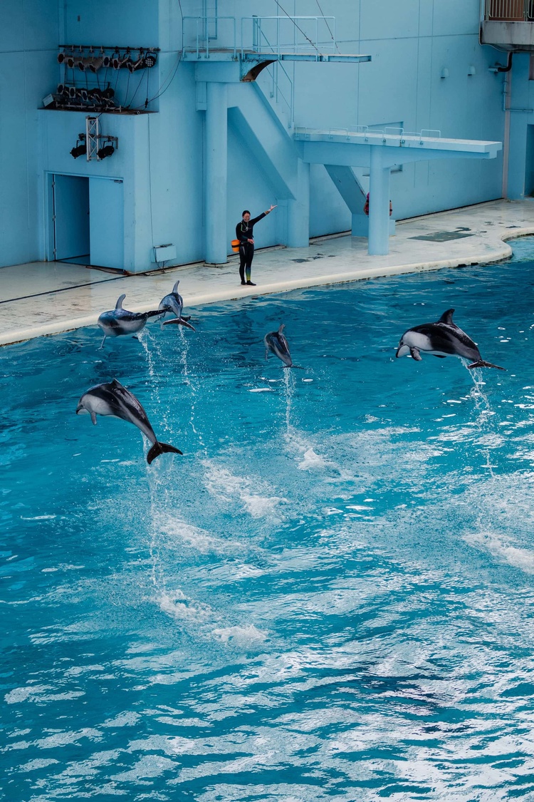 20220326-img_9158_sqsh60_sqsh60