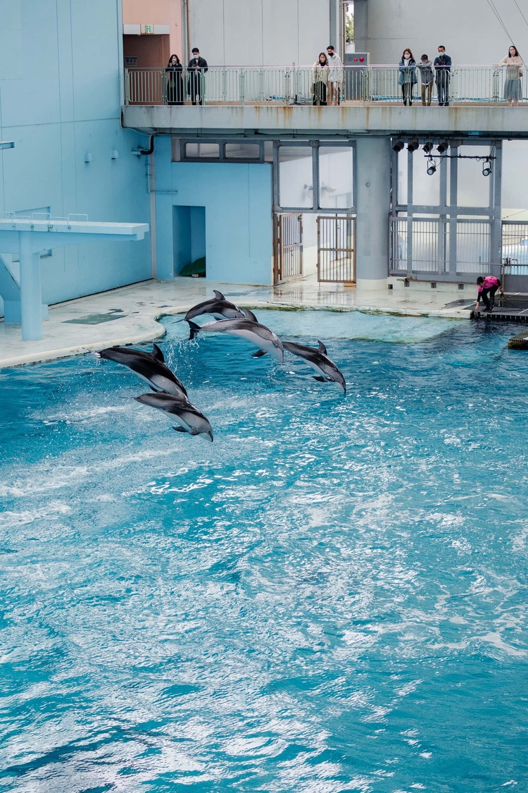 20220326-img_9159_sqsh60_sqsh60