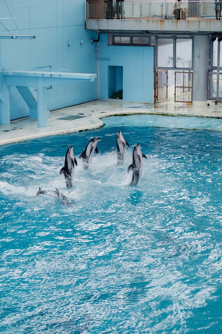 20220326-img_9160_sqsh60_sqsh60