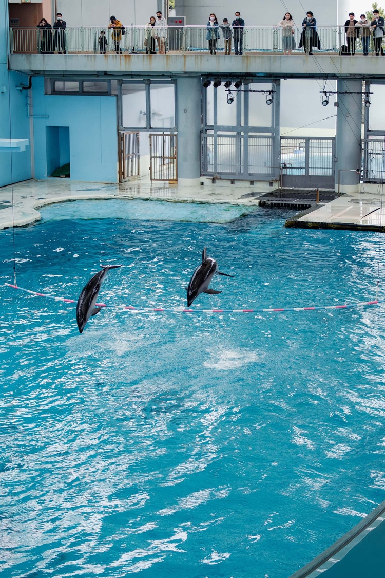 20220326-img_9161_sqsh60_sqsh60