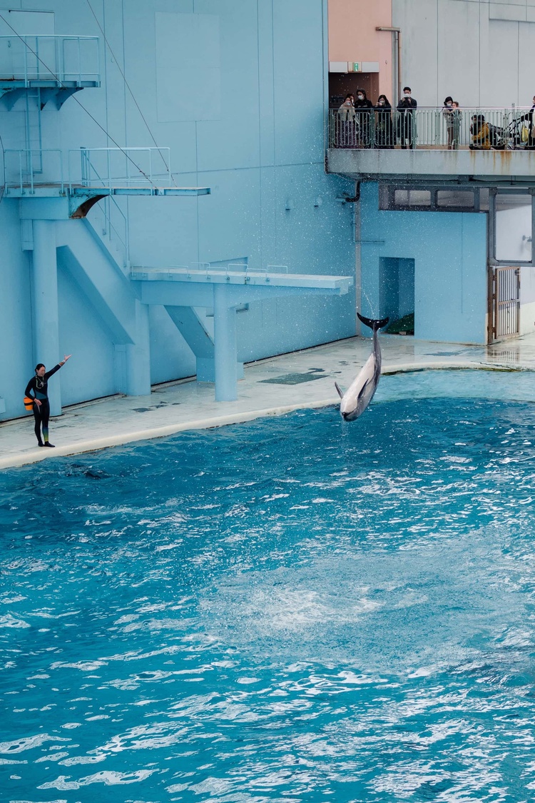 20220326-img_9164_2_sqsh60_sqsh60