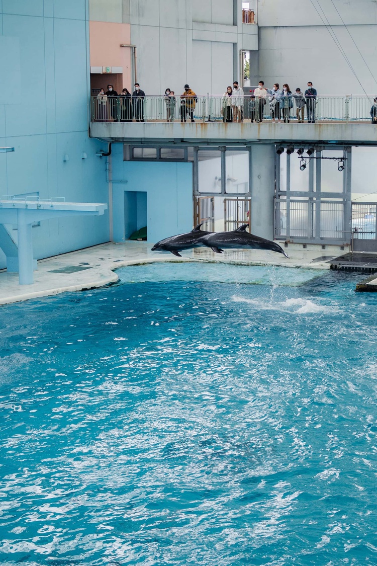 20220326-img_9165_sqsh60_sqsh60