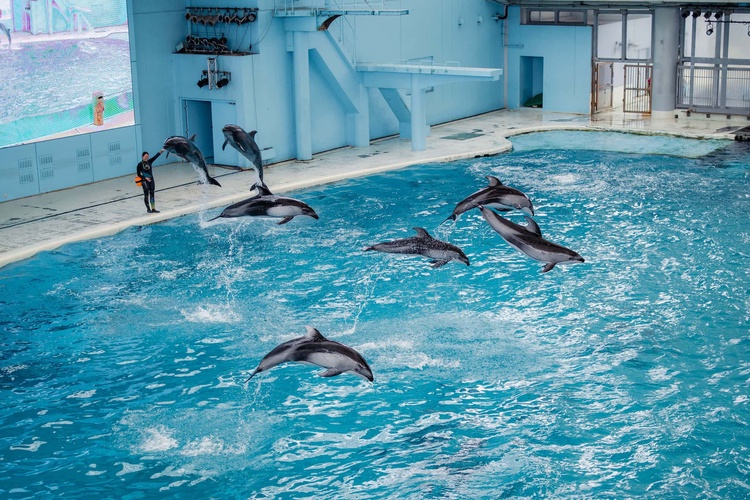 20220326-img_9166_sqsh60_sqsh60