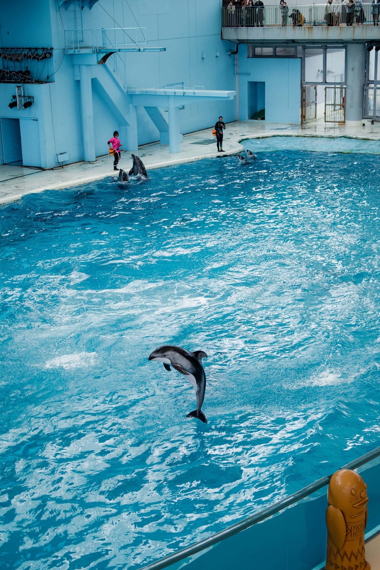 20220326-img_9168_sqsh60_sqsh60