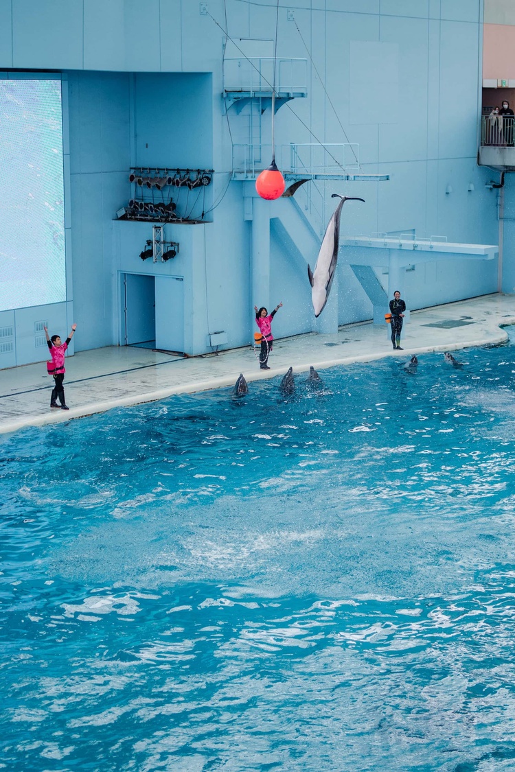 20220326-img_9169_sqsh60_sqsh60