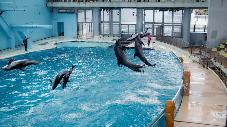 20220326-img_9170_sqsh60_sqsh60