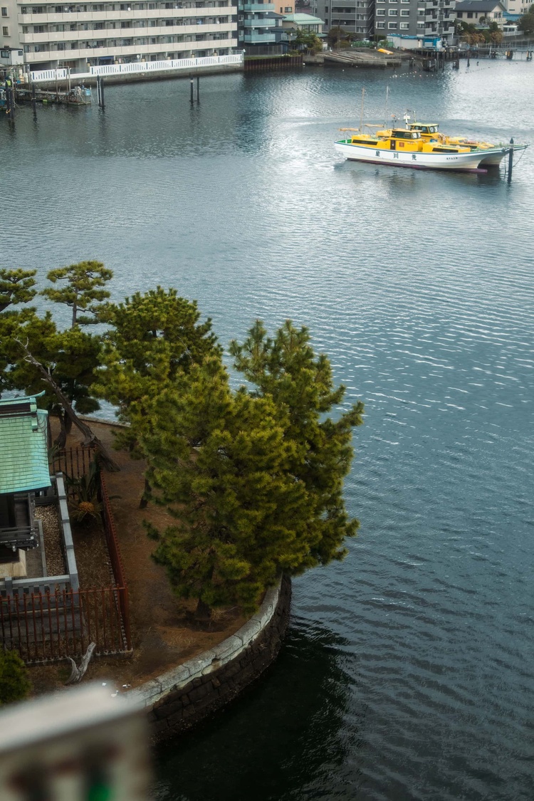 20220326-img_9090_sqsh60_sqsh60