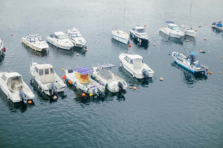 20220326-img_9091_sqsh60_sqsh60