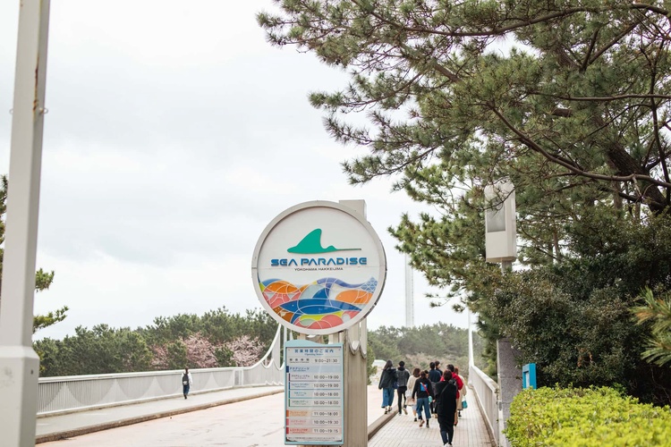 20220326-img_9095_sqsh60_sqsh60