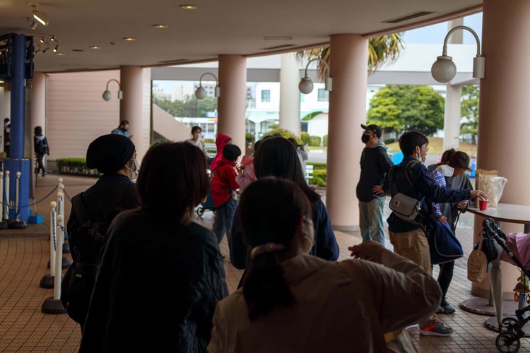 20220326-img_9101_sqsh60_sqsh60