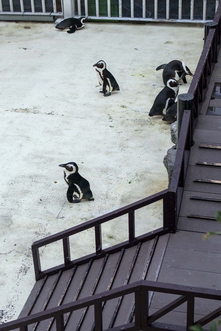 20220326-img_9173_sqsh60_sqsh60