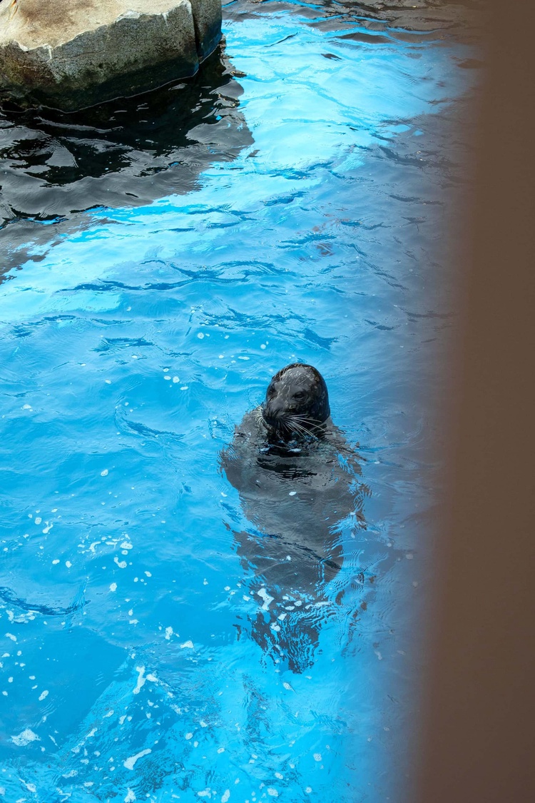 20220326-img_9174_sqsh60_sqsh60