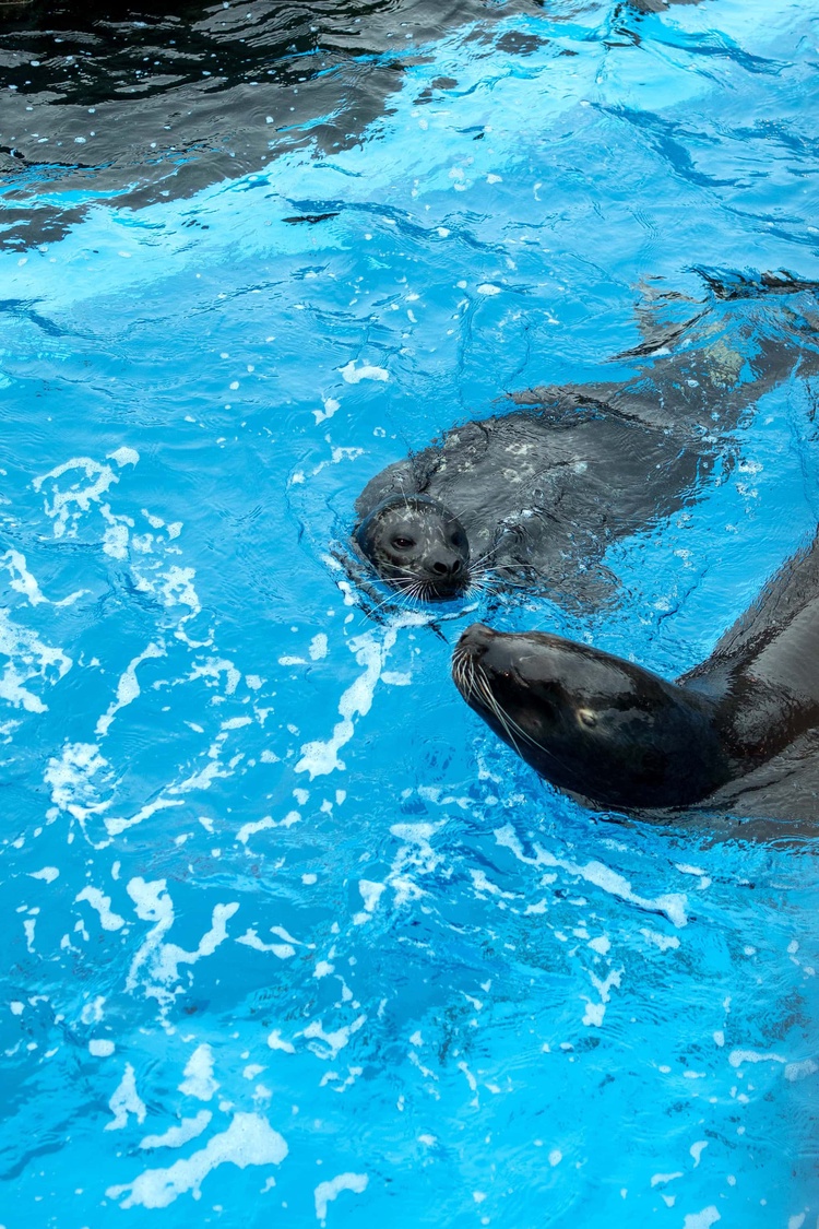 20220326-img_9177_sqsh60_sqsh60