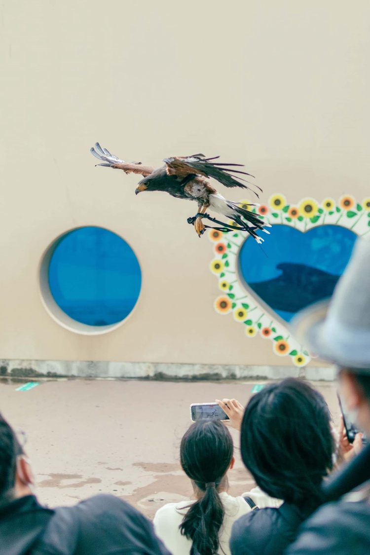 20220326-img_9181_sqsh60_sqsh60