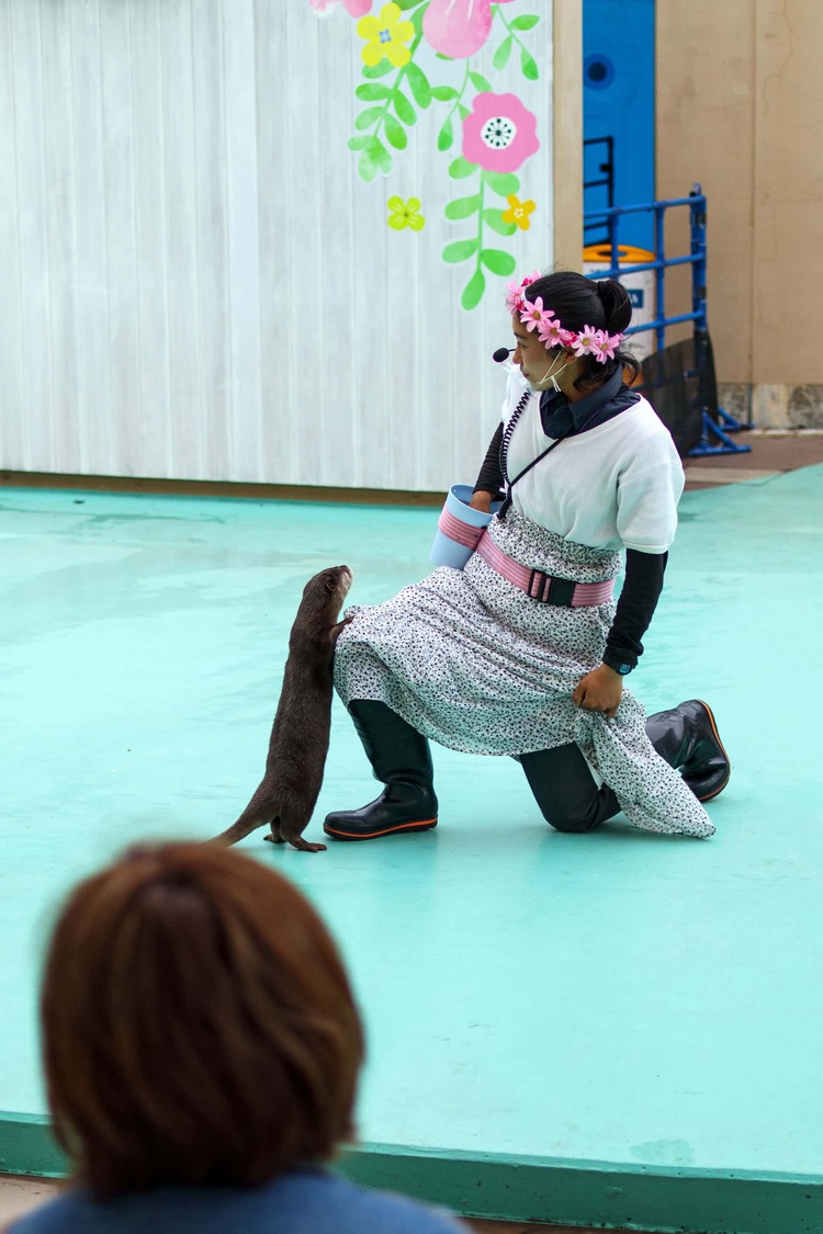 20220326-img_9184_sqsh60_sqsh60