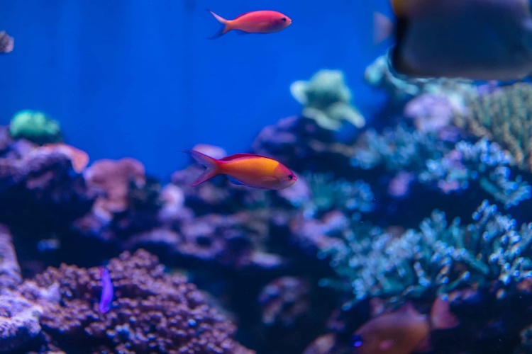 20220326-img_9103_sqsh60_sqsh60