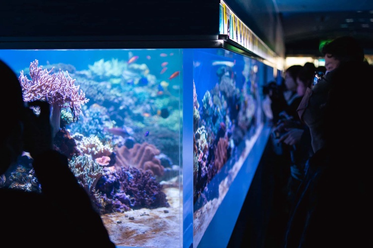 20220326-img_9104_sqsh60_sqsh60