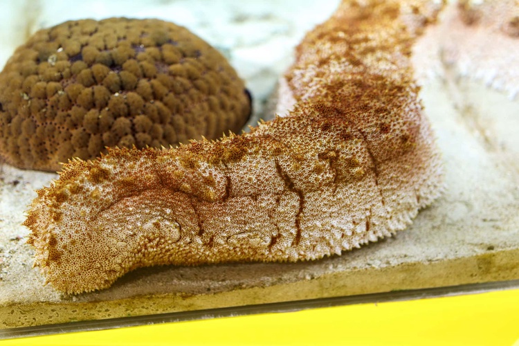 20220326-img_9106_sqsh60_sqsh60