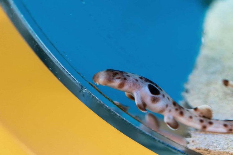 20220326-img_9107_sqsh60_sqsh60