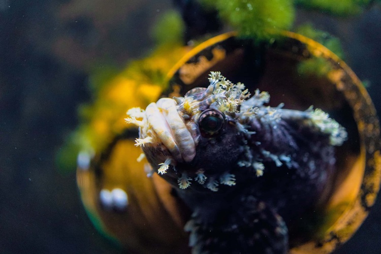 20220326-img_9108_sqsh60_sqsh60