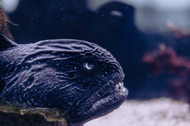 20220326-img_9109_sqsh60_sqsh60