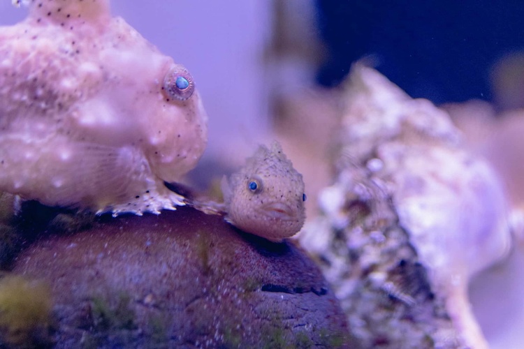 20220326-img_9110_sqsh60_sqsh60