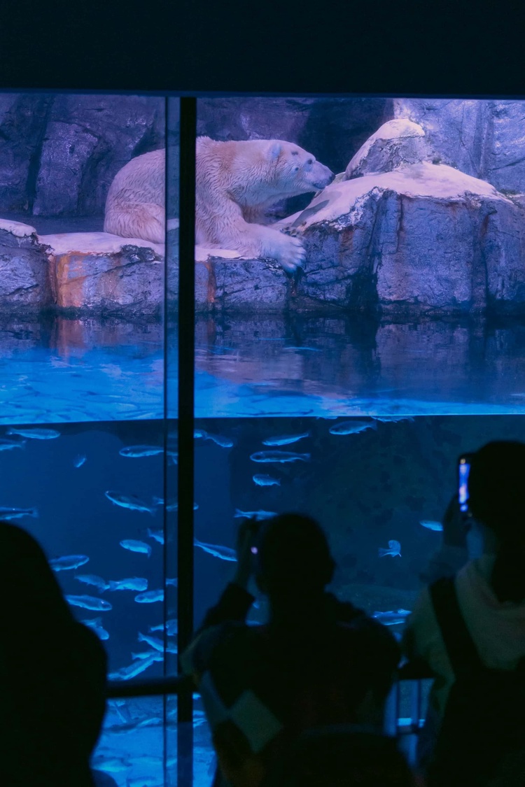 20220326-img_9113_sqsh60_sqsh60