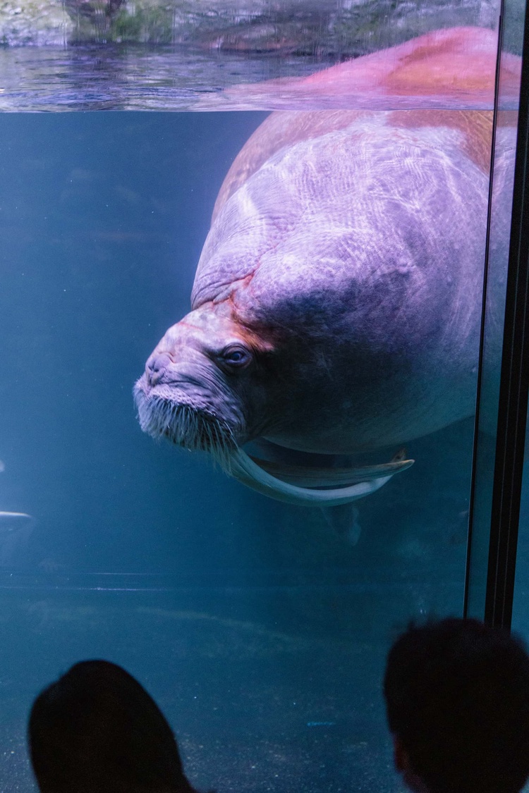 20220326-img_9119_sqsh60_sqsh60