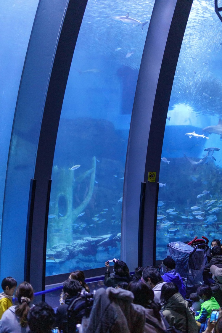 20220326-img_9122_sqsh60_sqsh60