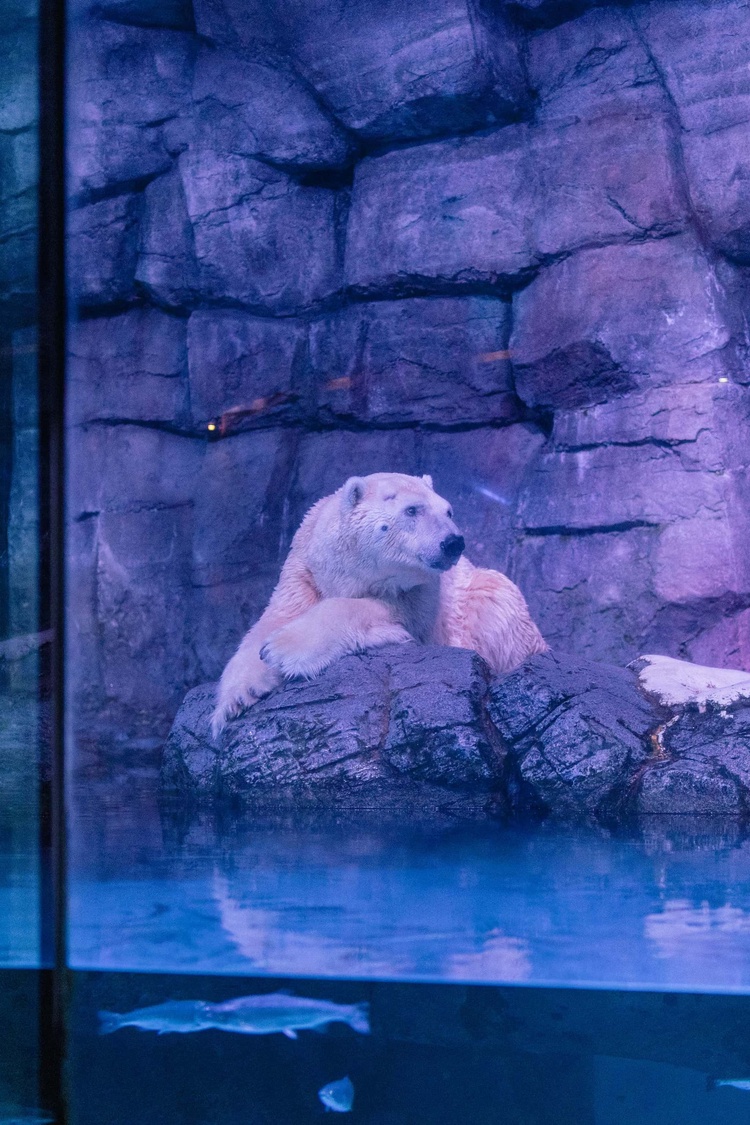 20220326-img_9123_sqsh60_sqsh60