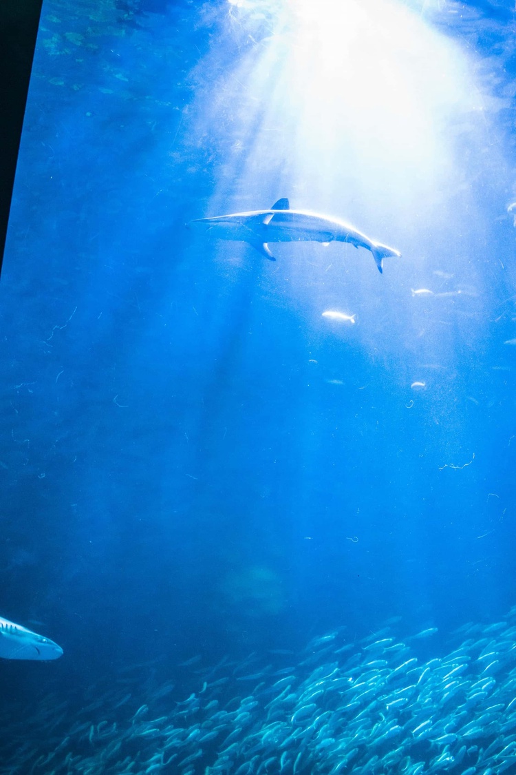 20220326-img_9124_sqsh60_sqsh60