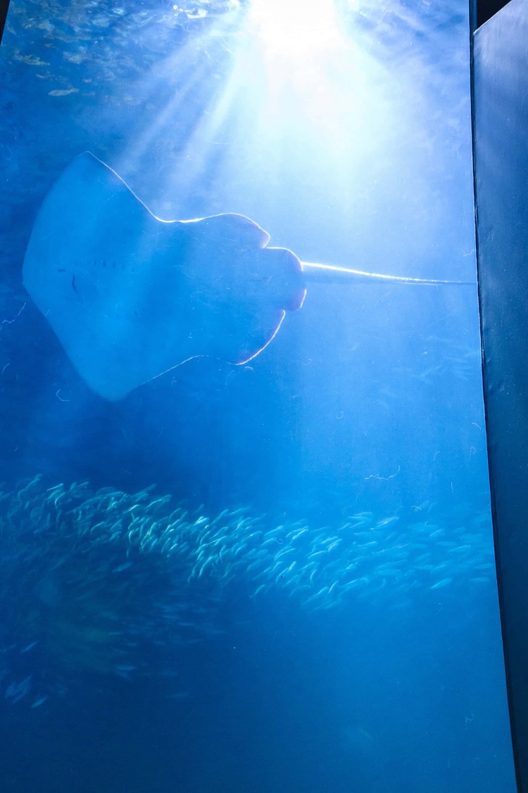 20220326-img_9125_sqsh60_sqsh60