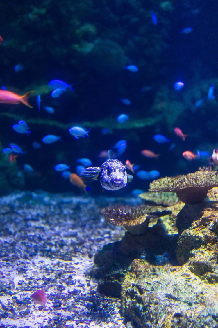 20220326-img_9131_sqsh60_sqsh60