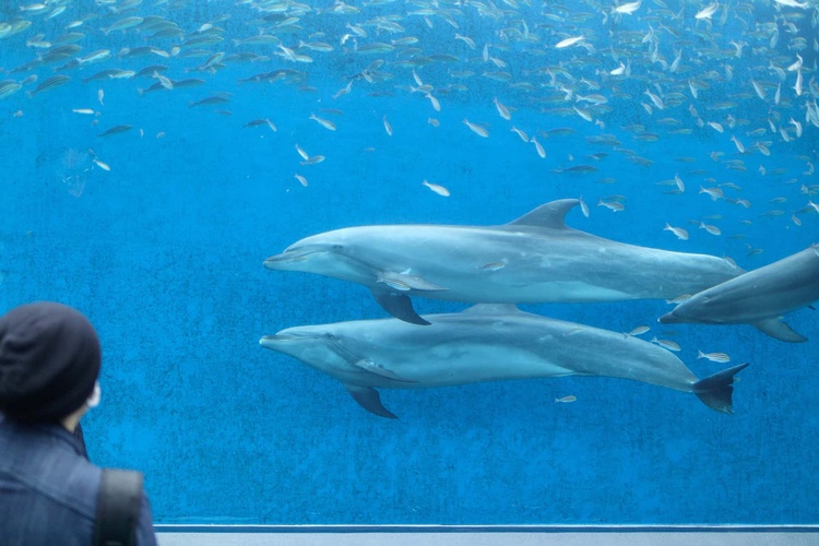 20220326-img_9194_sqsh60_sqsh60