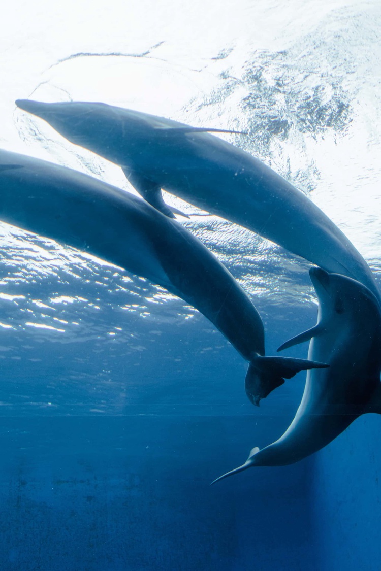 20220326-img_9196_sqsh60_sqsh60