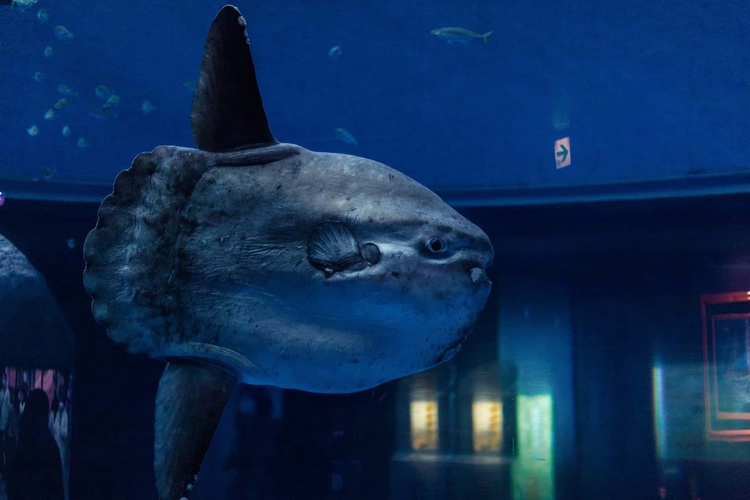 20220326-img_9197_sqsh60_sqsh60