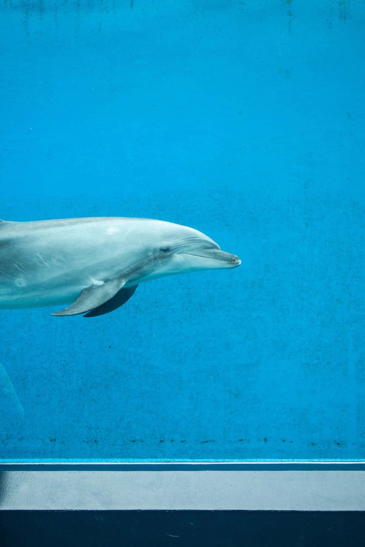 20220326-img_9203_sqsh60_sqsh60